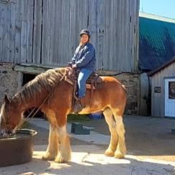 Meet your Posher, Jennifer - Picture 1 of 1